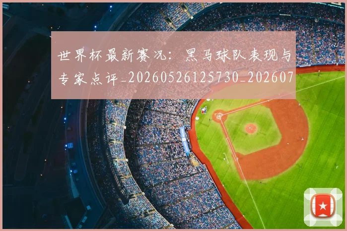 世界杯最新赛况：黑马球队表现与专家点评_20260526125730_20260702195840