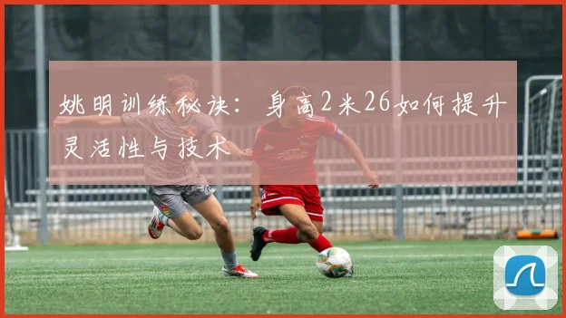 姚明训练秘诀:身高2米26如何提升灵活性与技术