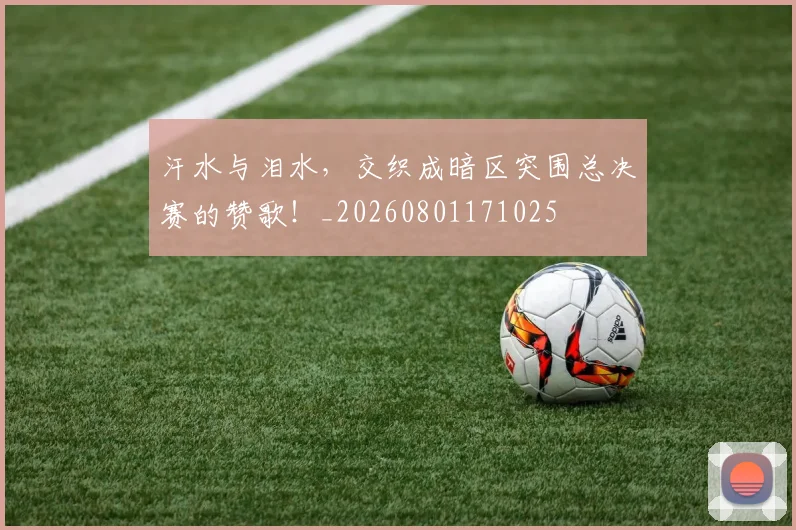 汗水与泪水，交织成暗区突围总决赛的赞歌！_20260801171025